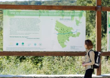 200 de milioane de euro pentru împădurire. Șefa statului a participat la semnarea unui acord cu BEI