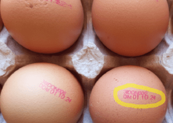 Ouă cu salmonella, puse în vânzare de o fabrică din Dondușeni. ANSA vine cu recomandări