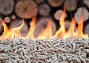 Cetățenii care vor dori să-și procure un cazan pe biomasă vor putea primi de la stat 50% din valoarea acestuia