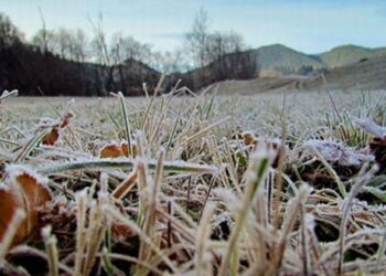 Cod galben pe întreg teritoriul R. Moldova. Se așteaptă înghețuri de până la minus 4 grade