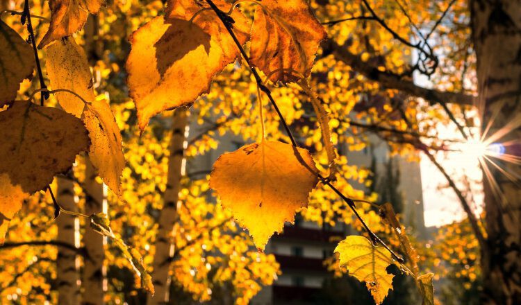 Cum va fi vremea astăzi, 24 octombrie