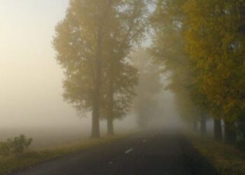 Ziua începe cu ceață. Cât de cald va fi miercuri