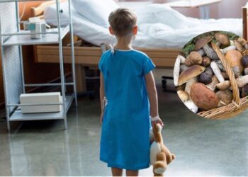 Medicii bat alarma! Numai în ultimele săptămâni, 10 copii au fost internați la Institutul Mamei și Copilului cu intoxicații cu ciuperci