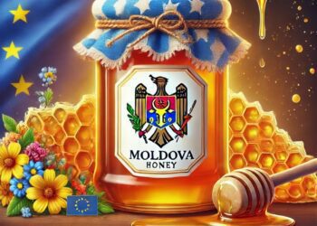 Apicultorii moldoveni iau cu asalt piața UE: Peste 2.200 de tone de miere, exportate anual