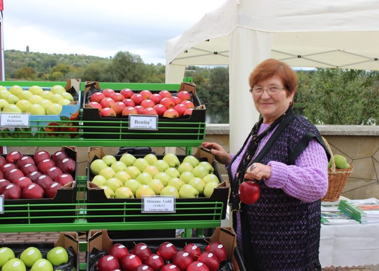 FOTO / Festivalul Național al Mărului a revenit la Soroca: „Merele moldovenești se deosebesc prin gustul lor autentic”