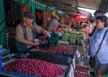 Rusia interzice fructele și legumele din Kazahstan, după ce țara asiatică a refuzat să adere la BRICS