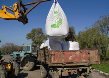 Peste 400 de tone de semințe de grâu pentru agricultorii afectați de secetă
