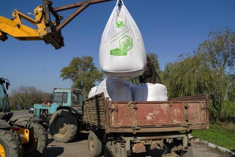 Peste 400 de tone de semințe de grâu pentru agricultorii afectați de secetă