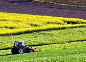 Terenurile agricole neîngrijite vor fi date în arendă de primării. Noul Cod Funciar, aprobat de Guvern
