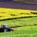 Terenurile agricole neîngrijite vor fi date în arendă de primării. Noul Cod Funciar, aprobat de Guvern
