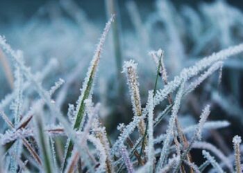 În următoarele zile se prevăd înghețuri pe întreg teritoriul țării