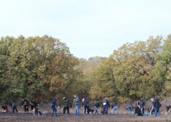 Moldsilva invită toată societatea la campania de plantare şi explică doritorilor cum se pot alătura