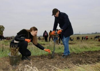 Daniel Vodă: „Guvernul a plantat peste 200.000 de copaci – stejari, arțari și alte specii”