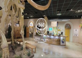 Noțiunea de muzeu virtual, introdusă în legislație