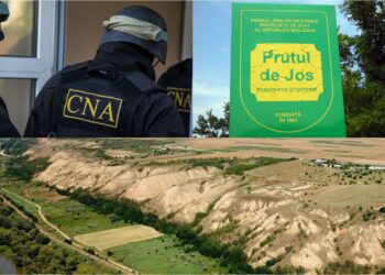 Ar fi delapidat fonduri europene. Mai multe persoane din cadrul Unității pentru Implementarea proiectelor de pe lângă Agenția „Moldsilva”, în vizorul CNA