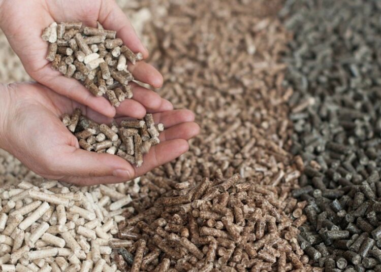 Piața de biocombustibili solizi din R. Moldova va fi îmbunătățită și ajustată la standardele europene
