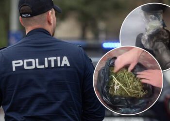 VIDEO // Droguri, arme și muniții, ridicate în raionul Drochia
