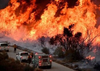 Incendiu în Californiei: Peste 50 de kilometri pătrați de vegetație distruși și zeci de case afectate