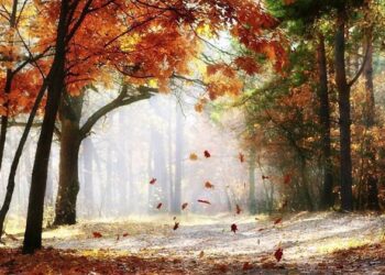 Astăzi vom avea parte de cer senin și ceață slabă