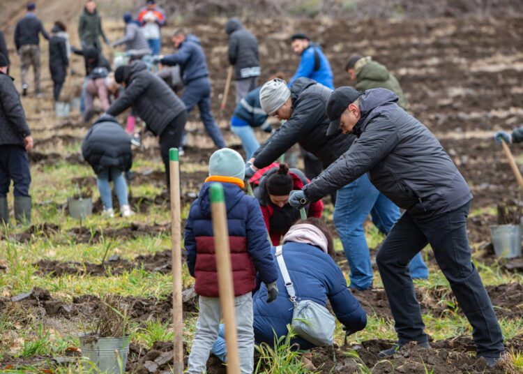 VIDEO // Moldova plantează! Vor fi create noi păduri la Briceni, Ocnița, Edineț, Sîngerei, Glodeni, Fălești, Drochia, Soroca și Florești