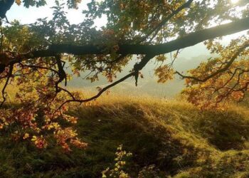 Ultima săptămână de toamnă va fi cu vreme variabilă, ger nocturn şi fără precipitaţii