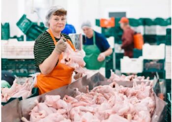 Producătorii din R. Moldova vor putea exporta în Uniunea Europeană preparate din carne de pasăre