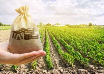 MAIA: Numărul cererilor de subvenționare post-investiție a crescut cu 18%