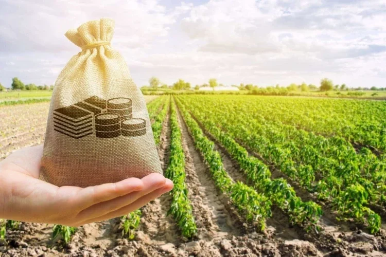 MAIA: Numărul cererilor de subvenționare post-investiție a crescut cu 18%