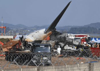 В Южной Корее разбился пассажирский самолет. Погибли 179 человек