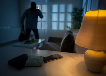 Как избежать кражи из домов и автомобилей в зимние праздники: рекомендации ГИП