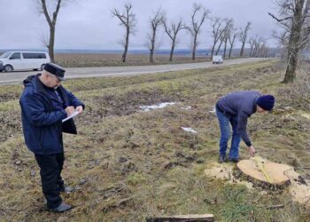FOTO // Două cazuri de tăieri ilicite, descoperite de inspectorii de mediu din Edineț