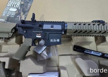 Un tânăr a încercat să introducă ilegal o armă pe teritoriul R. Moldova