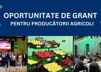 USAID oferă granturi de 3,5 milioane de lei pentru exportatorii de struguri, fructe, legume și miere