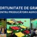 USAID oferă granturi de 3,5 milioane de lei pentru exportatorii de struguri, fructe, legume și miere
