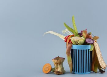 Expert: Aruncăm mii de tone de produse, care ar ajunge la peste un milion de oameni care trăiesc sub pragul sărăciei