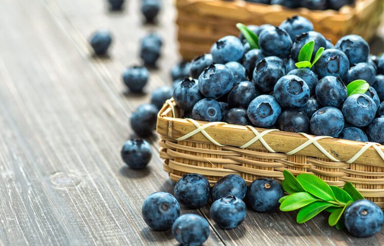 Cinci motive să consumi afine iarna pentru o sănătate mai bună și un sistem imunitar puternic