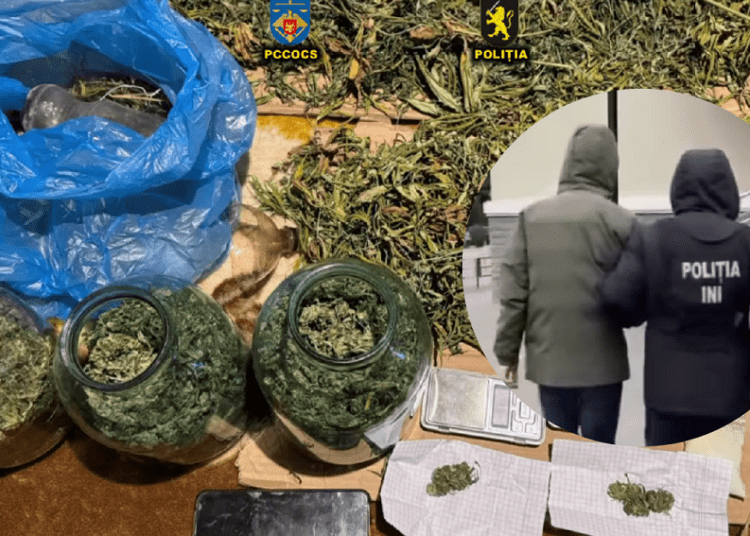 VIDEO // Prins cu borcane pline cu marijuana. Un bărbat din Bălți riscă ani grei de pușcărie