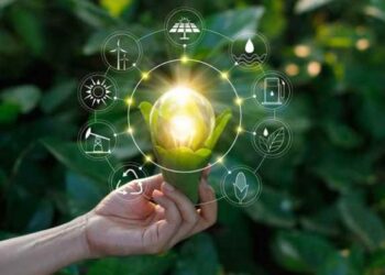 Pe 10 ianuarie este marcată Ziua economisirii energiei electrice. Ce recomandă ecologiştii pentru un viitor sustenabil