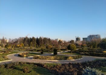 Cadavrul unei tinere, depistat în lacul din parcul Dendrariu