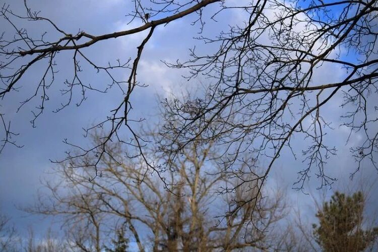 Cum va fi ultima zi de ianuarie