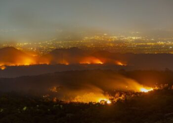 Focurile devastatoare din sudul Italiei: Ar fi implicată mafia siciliană