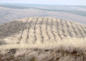 Un sat din raionul Rîșcani va fi mai verde