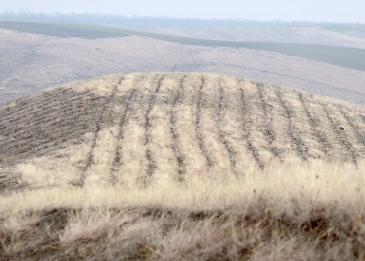 Un sat din raionul Rîșcani va fi mai verde