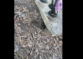 VIDEO //  Săpau morminte pentru a scoate obiecte valoroase. Trei suspecți din nordul țării, reținuți