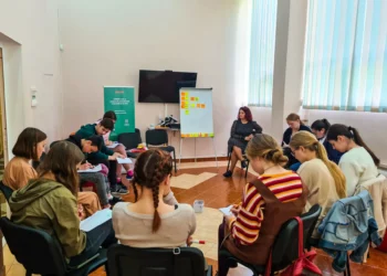 Guvernul a adoptat „Programul de dezvoltare a Centrelor de tineret 2030”. Care este bugetul anual