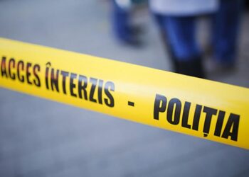 Tragedie în nordul țării. Un tânăr a murit strivit de o grămadă de crengi