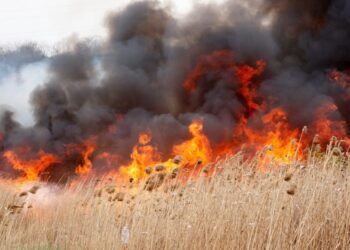 Au dat foc gunoiului și vegetației uscate: Primarul din Pîrjota, dar și alte persoane, amendate