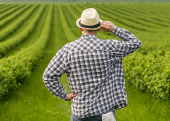Din 3 februarie, agricultorii pot solicita subvenții de până la 3 milioane de lei