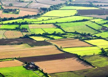 Procedurile de vânzare-cumpărare vor fi simplificate. Parlamentul a votat noi modificări în domeniul gestionării terenurilor agricole