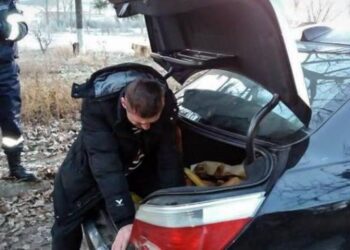 Clipe de coșmar pentru un bărbat de 32 de ani. A fost răpit și bătut de propriul socru și amicii lui